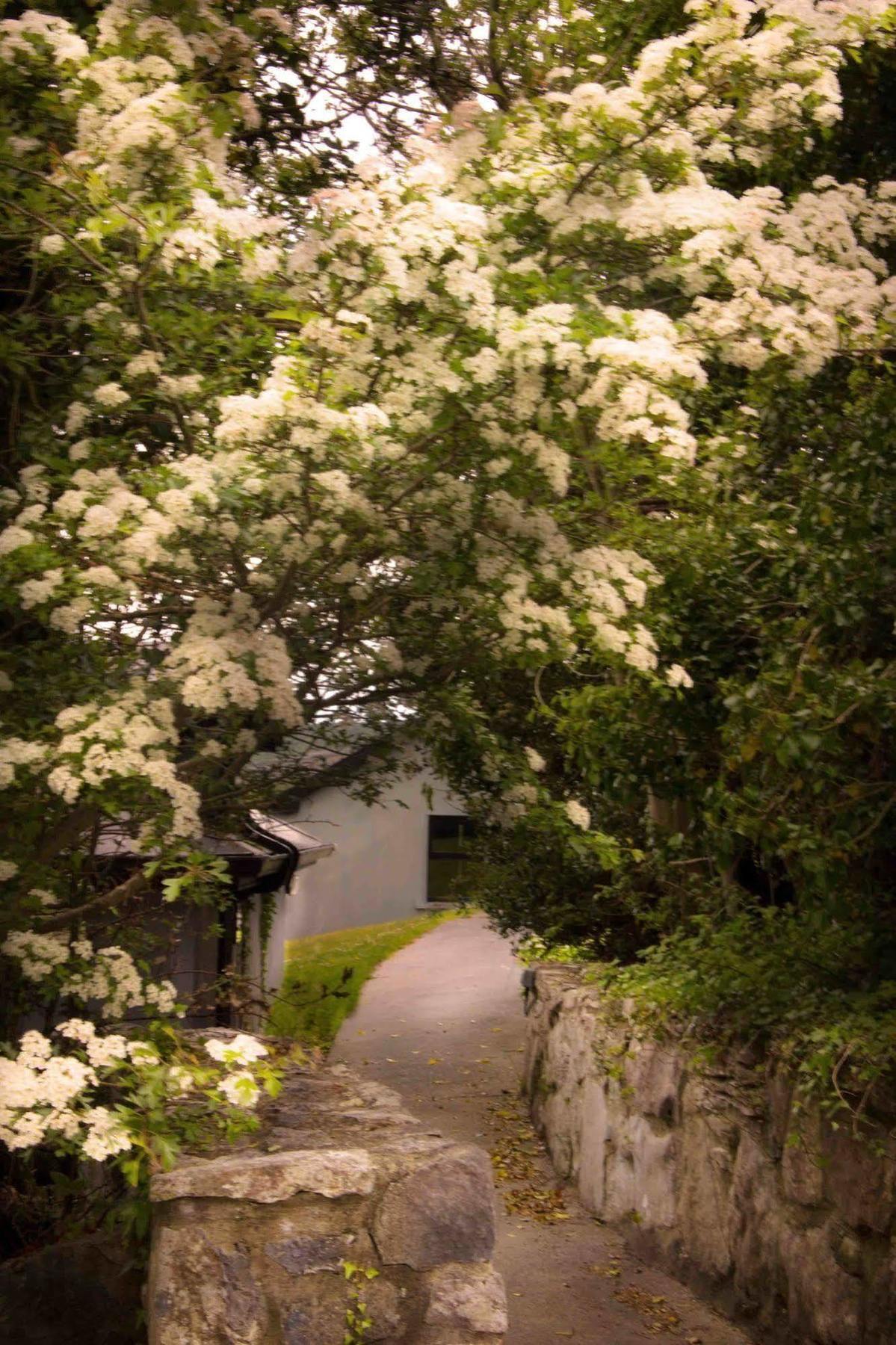 The Waters Country House Ballyvaughan Luaran gambar